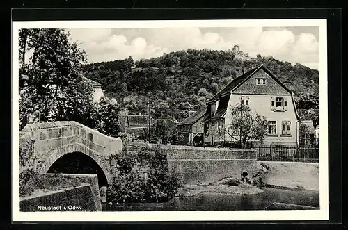 AK Neustadt i. Odw., Gebäudepartie und Brücke