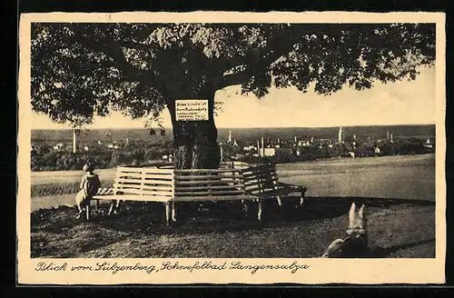 AK Langensalza, Blick vom Sülzenberg