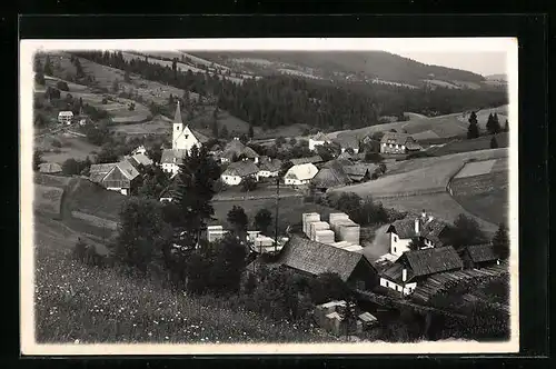 AK Hirschegg, Blick von der Bergwiese auf den Ort