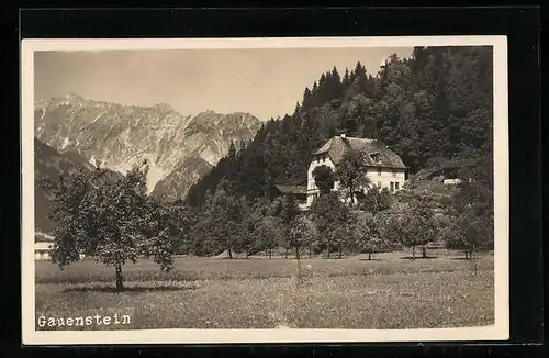 AK Schruns, Haus Gauenstein mit Gebirgswand