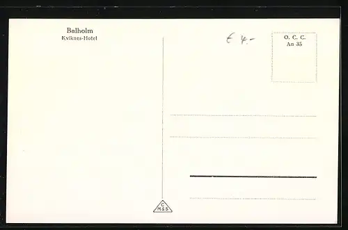 AK Balholm (Balestrand), Panorama des Ortes, Kviknes-Hotel