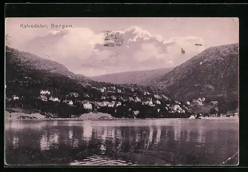 AK Bergen, Kalvedalen, Panorama