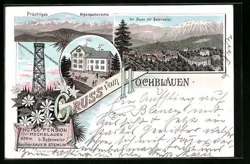 Lithographie Badenweiler, Hotel-Pension Hochblauen, Alpenpanorama, Teilansicht