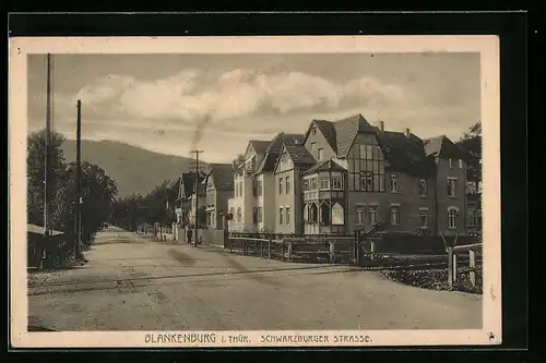 AK Blankenburg /Thür., Schwarzburger Strasse mit Bahnübergang