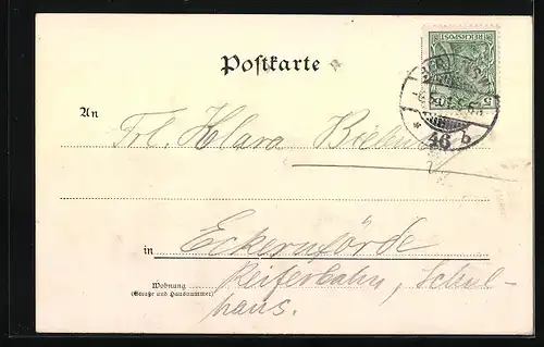 Lithographie Werder a. H., Totalansicht, Motiv Baumblüthe