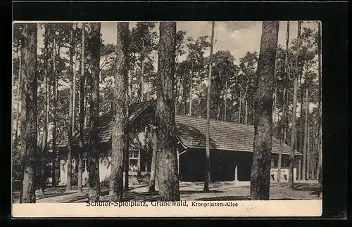 AK Grunewald, Schüler-Spielplatz, Kronprinzen-Allee