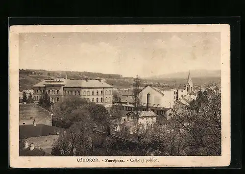 AK Uzhorod, Celkový pohled