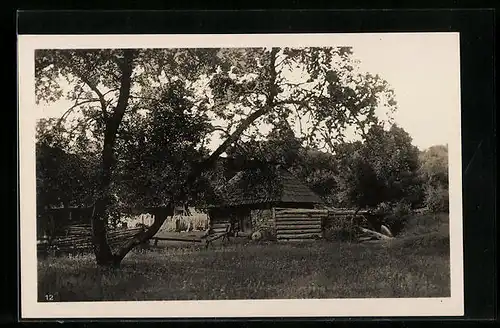 AK Volové, Ruské hospodárství s mlýnem