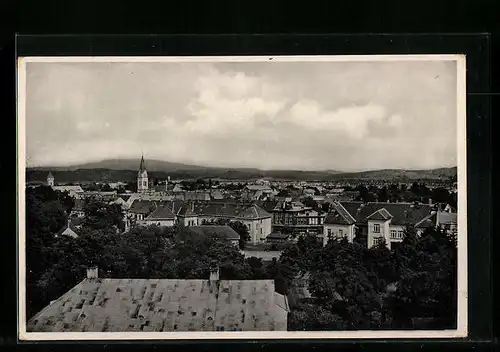 AK Mukacevo, Celkový pohled