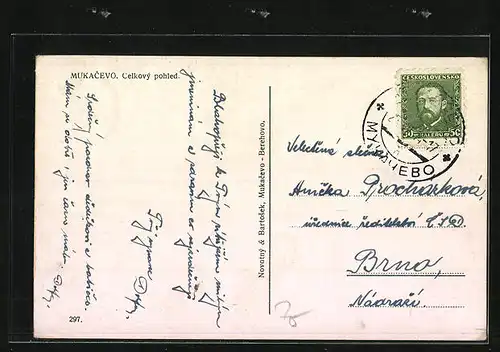 AK Mukacevo, Celkový pohled