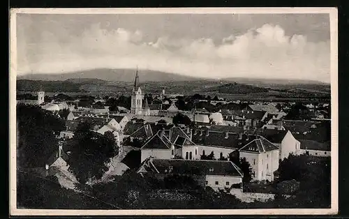 AK Mukacevo, Celkový pohled