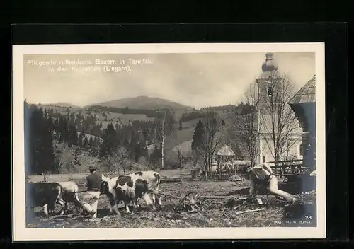 AK Tarujfalu /Karpathen, Ortspartie mit pflügenden Bauern und Kirche