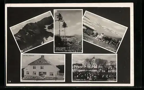 AK Jasina, Bergpanorama, Almhütte mit Kühen, Kirche mit Menschenmenge