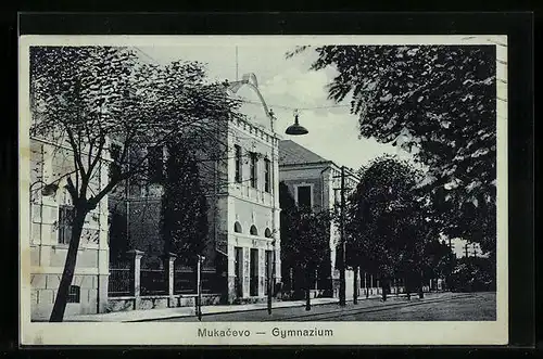 AK Mukácevo, Gymnasium mit Strasse