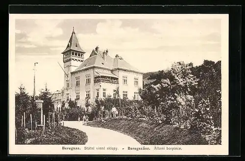 AK Beregsas, Statni vinne sklepy