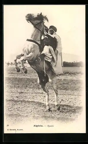 AK Algérie, Spahi, arabischer Soldat zu Pferd