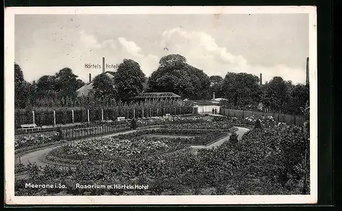 AK Meerane i. Sa., Rosarium m. Härtels Hotel