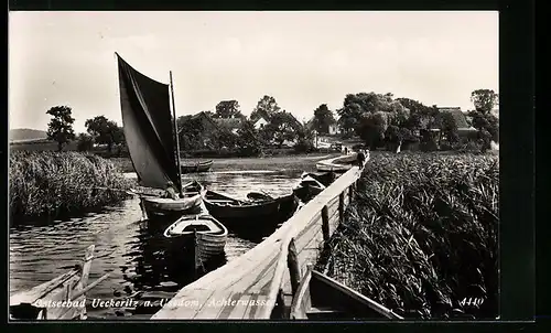 AK Ueckeritz a. Usedom, Achterwasser, Boote