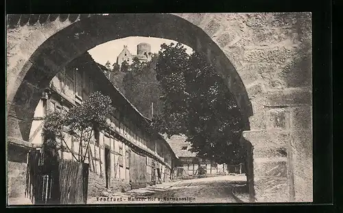 AK Treffurt, Mainzer Hof u. Normannstein