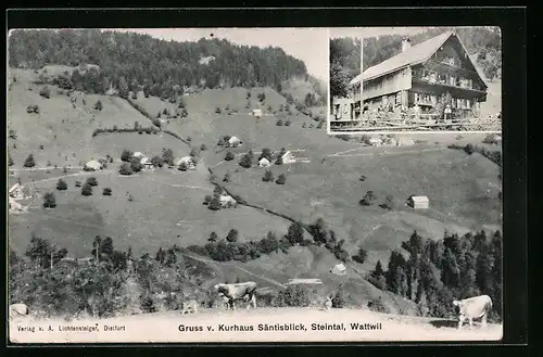 AK Wattwil, Kurhaus Säntisblick, Ortspartie im Steintal