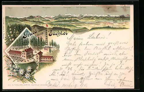 Lithographie Hinwil, Gasthaus auf dem Bachtel, Alpen-Panorama