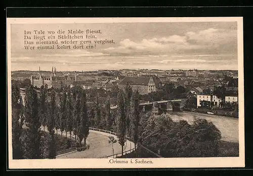 AK Grimma, Ortsansicht aus der Vogelschau