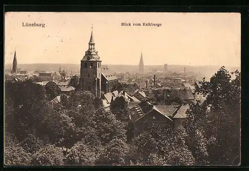 AK Lüneburg, Blick vom Kalkberge