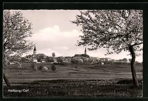 AK Plössberg / Opf., Ortsansicht mit Kirche