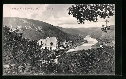 AK Alf / Mosel, Hotel-Pension Waldfrieden, Moselpartie aus der Vogelschau