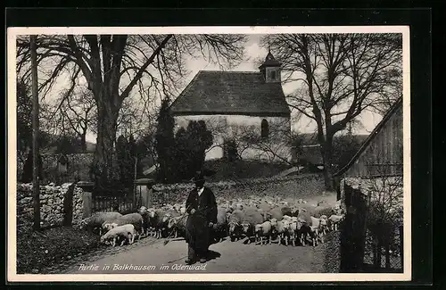 AK Balkhausen / Odw., Blick zur Kirche, Schäfer mit seiner Herde