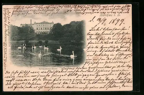 AK Zwickau i. Sa., Schwanenschloss