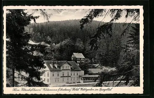 AK Wildemann / Harz, Hotel Waldgarten im Spiegeltal