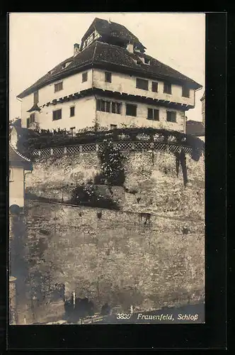 AK Frauenfeld, Schloss