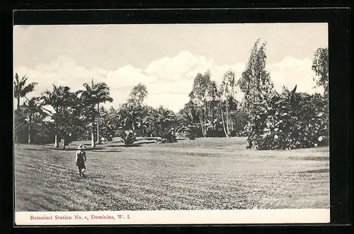 AK Dominica, Botanical Station