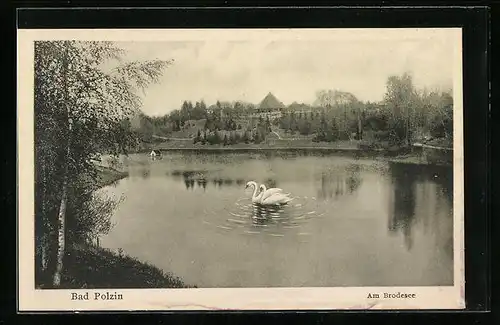 AK Bad Polzin, Brodesee