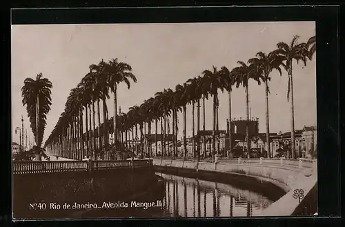 AK Rio de Janeiro, Avenida Mangue II.