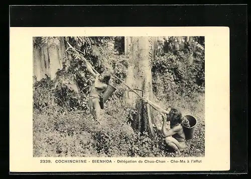 AK Bienhoa /Cochinchine, Délégation de Chua-Chan, Cho-Ma à l`affut