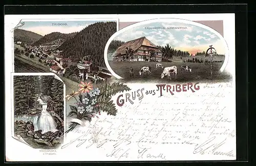 Lithographie Triberg, Bauernhaus, Wasserfall