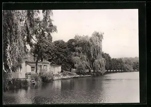 AK Frankenberg /Sa., Am Gondelteich