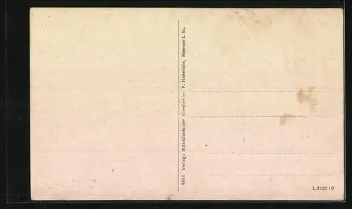 AK Frankenberg i. Sa., Bürgerschule