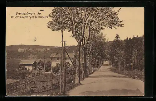 AK Frankenberg i. Sa., Strasse nach Sachsenburg mit Bäumen