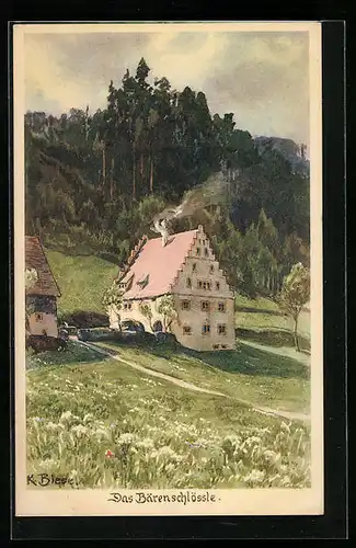 Künstler-AK Carl Biese: Freudenstadt i. Schwarzwald, das Bärenschlössle