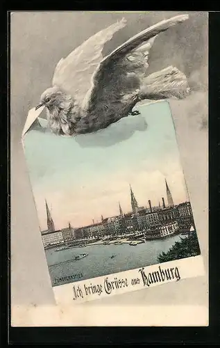 AK Hamburg-Neustadt, Blick auf den Jungfernstieg, weisse Taube