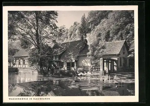 AK Blaubeuren, Partie an der Wassermühle