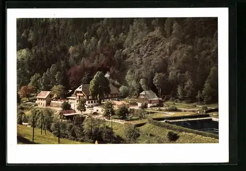 AK Todtnau im Schwarzwald, Blick auf das Hotel Waldeck mit dem Freibad