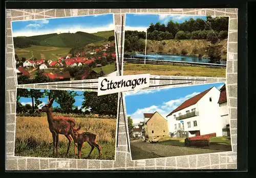 AK Eiterhagen, Ortstotale, Gasthaus Nähler, Wohnhäuser, Reh mit Kitz