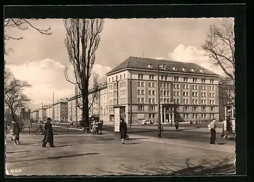 AK Dresden, Häuser in der Grunaer- und Blochmannstrasse