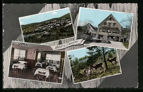 AK Obermaubach bei Düren, Ortsansicht, Hotel-Pension In den Weinbergen, E. Offermann