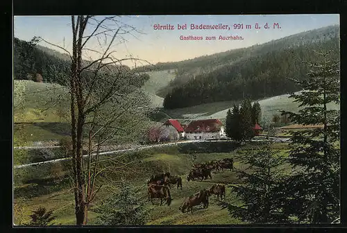 AK Sirnitz bei Badenweiler, Gasthaus zum Auerhahn mit Umgebung