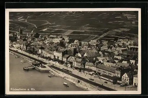 AK Rüdesheim /Rh., Ortsansicht aus der Vogelschau